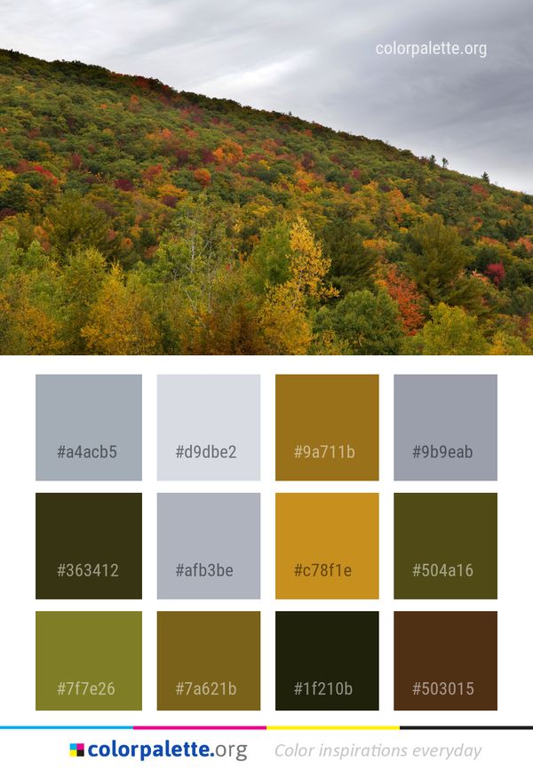 Leaf Nature Vegetation Color Palette