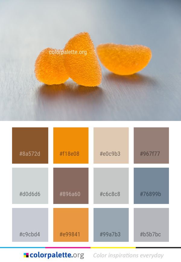 Orange Close Up Macro Photography Color Palette
