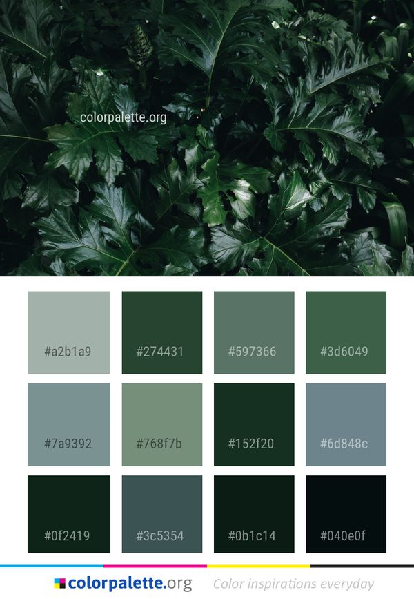 Plant Leaf Vegetation Color Palette
