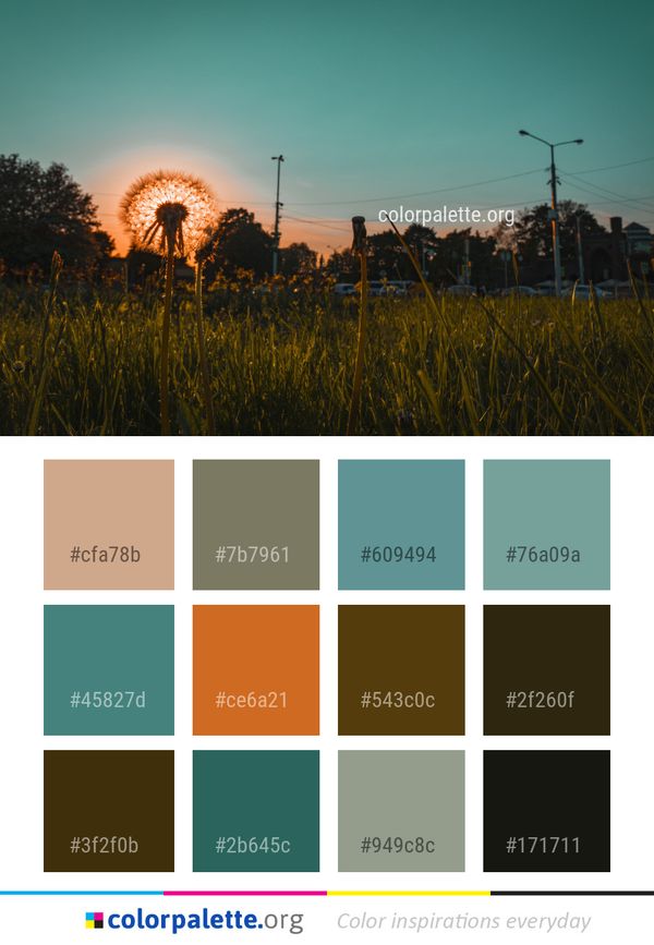 Sky Field Grassland Color Palette