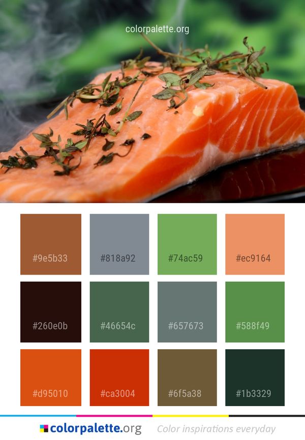 Smoked Salmon Color Palette