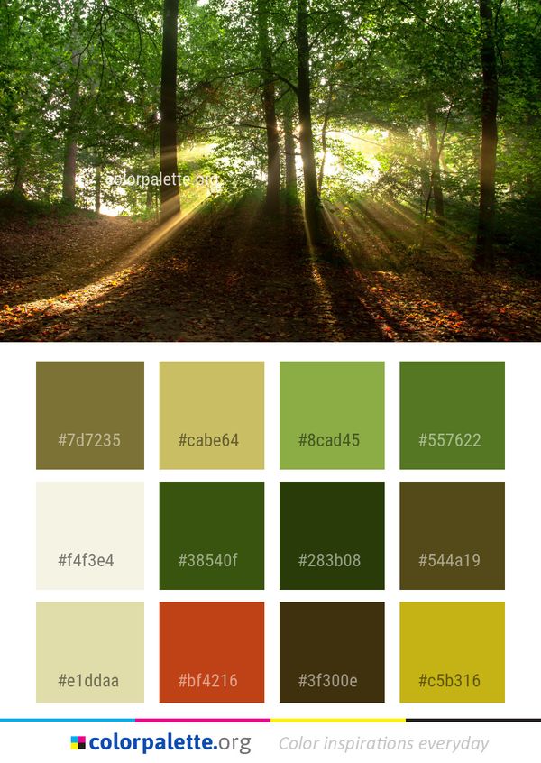 Woodland Forest Nature Color Palette