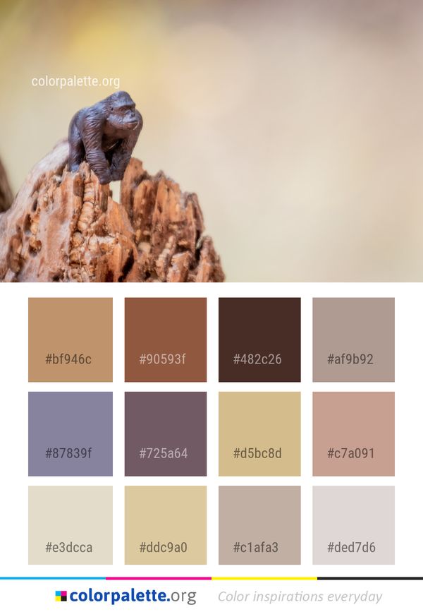 Fauna Close Up Reptile Color Palette