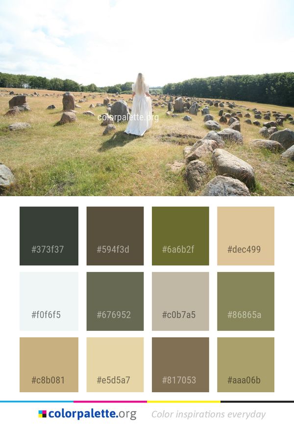 Grass Archaeological Site Landscape Color Palette