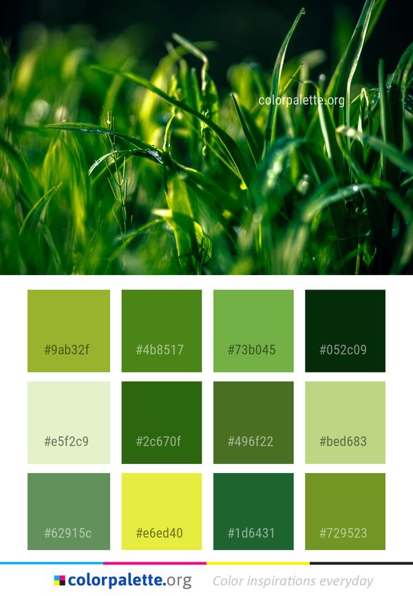 Green Grass Water Color Palette