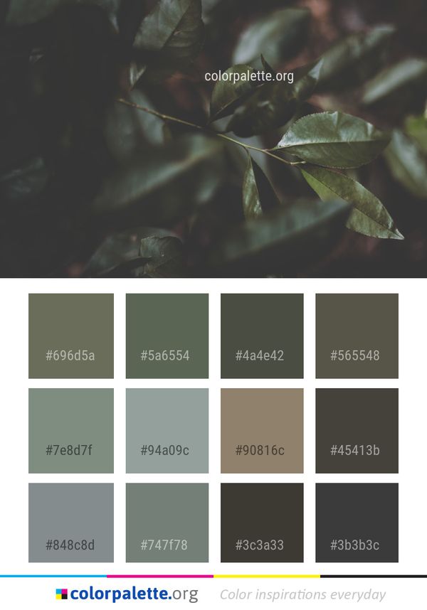 Leaf Plant Branch Color Palette