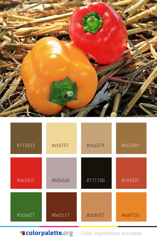 Natural Foods Vegetable Local Food Color Palette