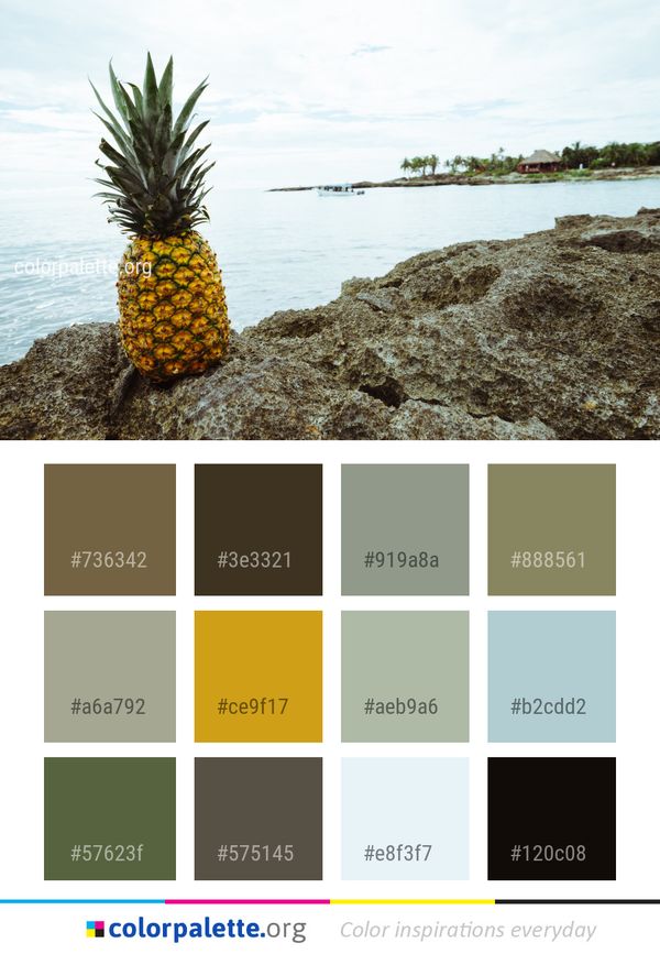Pineapple Arecales Sea Color Palette