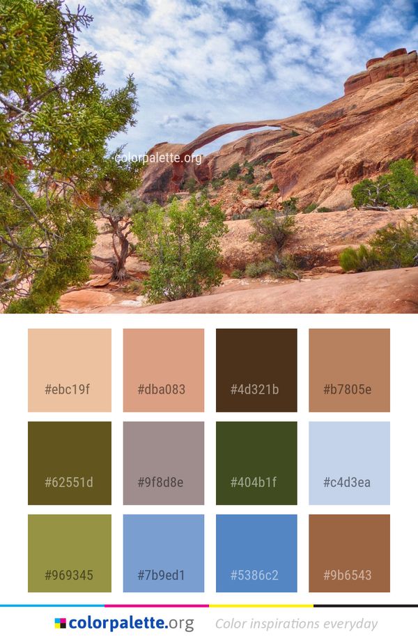 Rock Wilderness Vegetation Color Palette