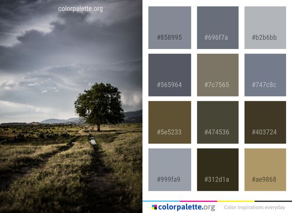 Sky Cloud Tree Color Palette