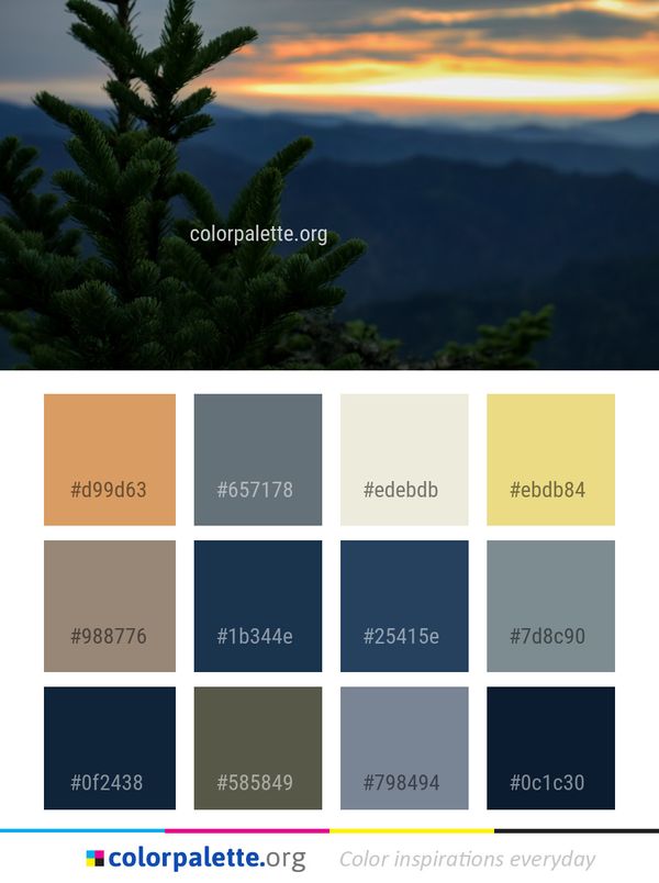 Sky Vegetation Tree Color Palette