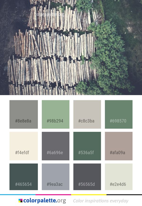 Tree Wood Grass Color Palette