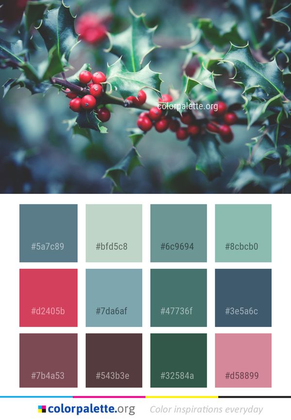 Aquifoliaceae Berry Holly Color Palette