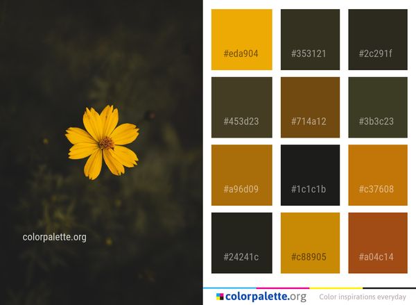 Flower Yellow Flora Color Palette
