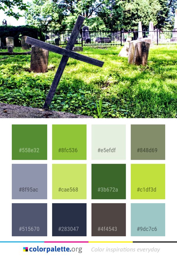 Grass Tree Pasture Color Palette