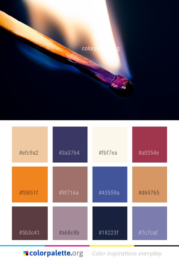 Match Macro Photography Close Up Color Palette