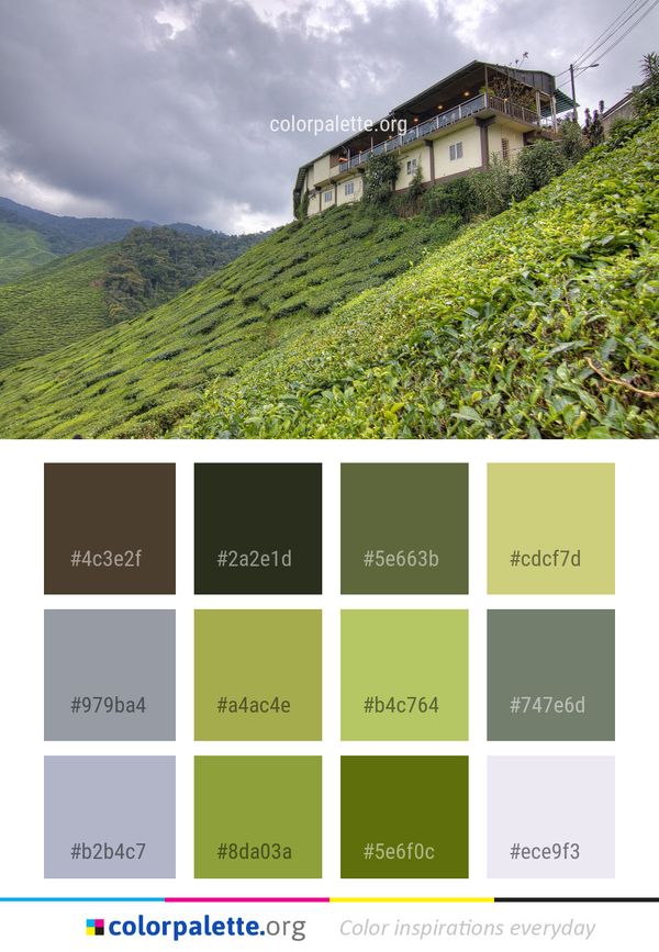 Nature Green Vegetation Color Palette