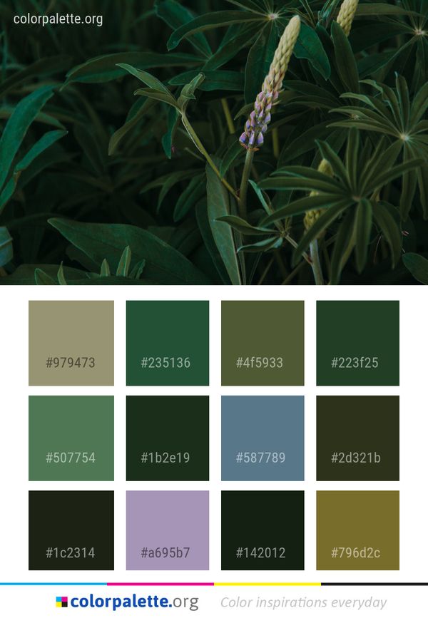 Plant Flora Vegetation Color Palette