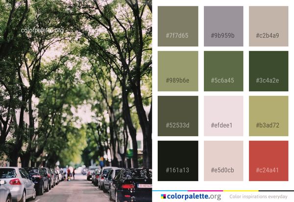 Tree Car Woody Plant Color Palette