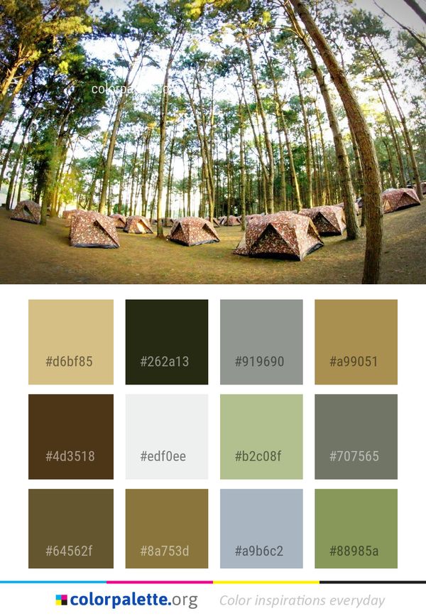 Tree Leisure Recreation Color Palette