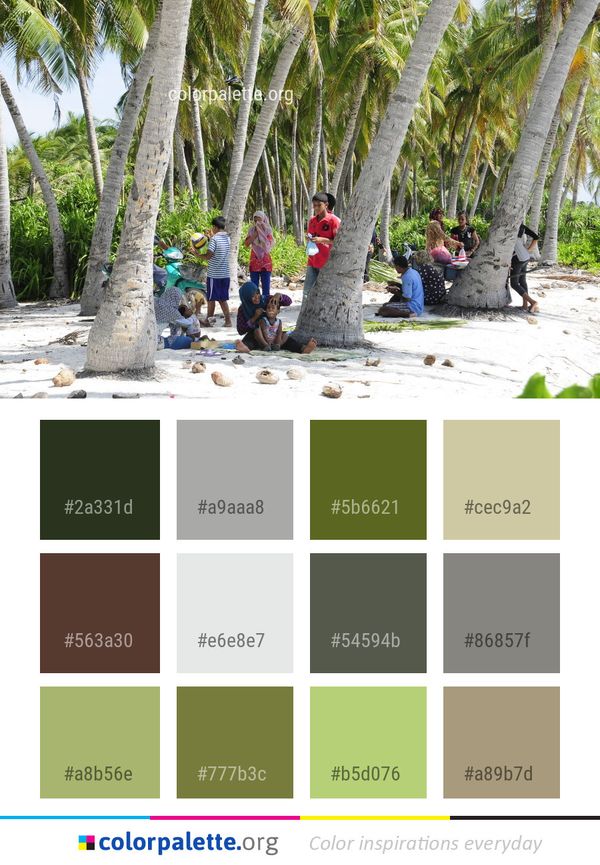 Tree Plant Arecales Color Palette