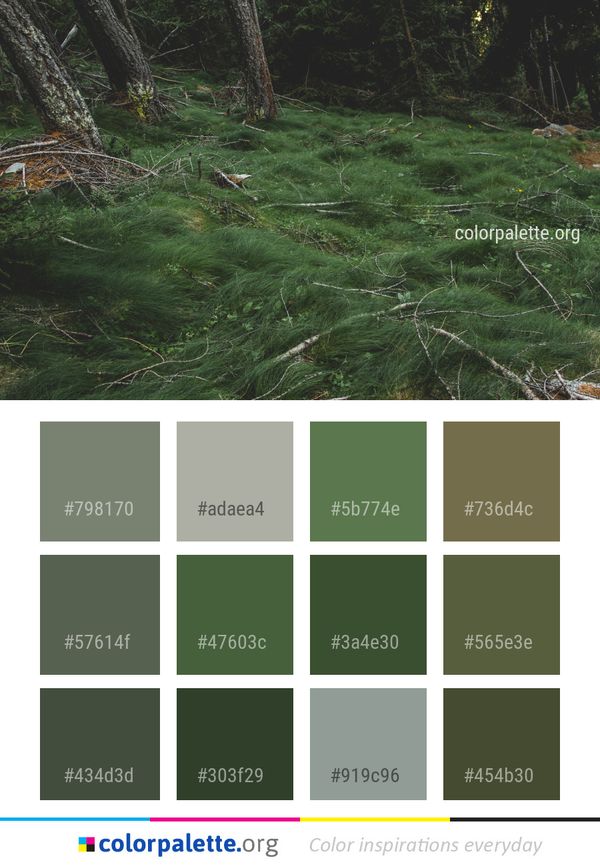 Ecosystem Vegetation Nature Reserve Color Palette