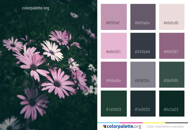 Flower Flora Plant Color Palette