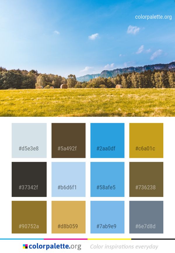Grassland Sky Nature Color Palette