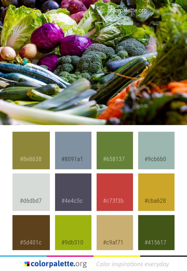 Natural Foods Vegetable Local Food Color Palette