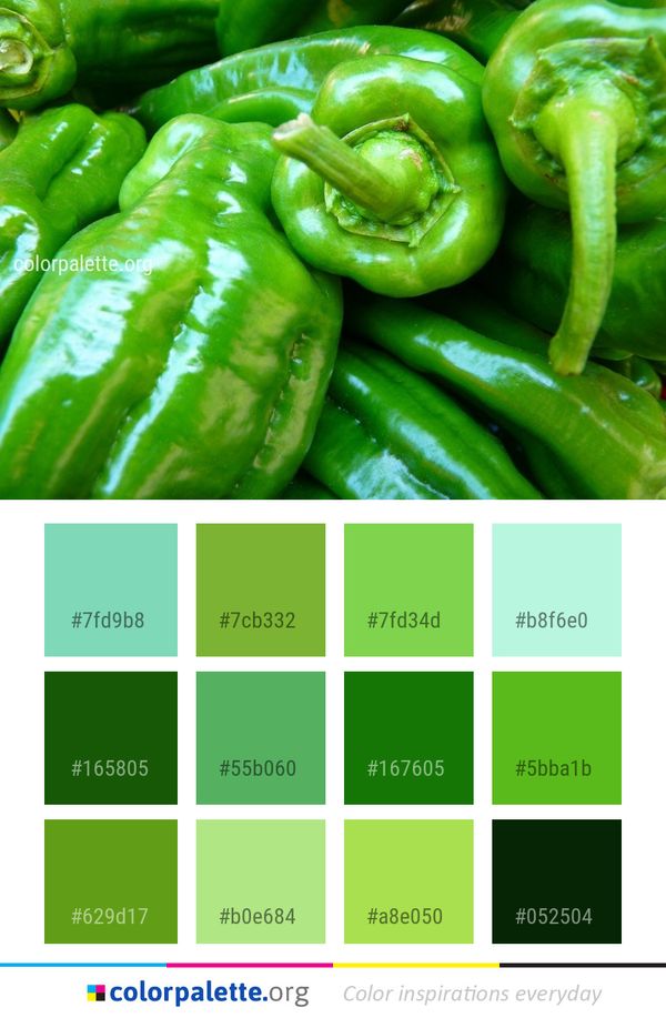 Natural Foods Vegetable Local Food Color Palette