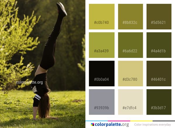 Nature Grass Tree Color Palette