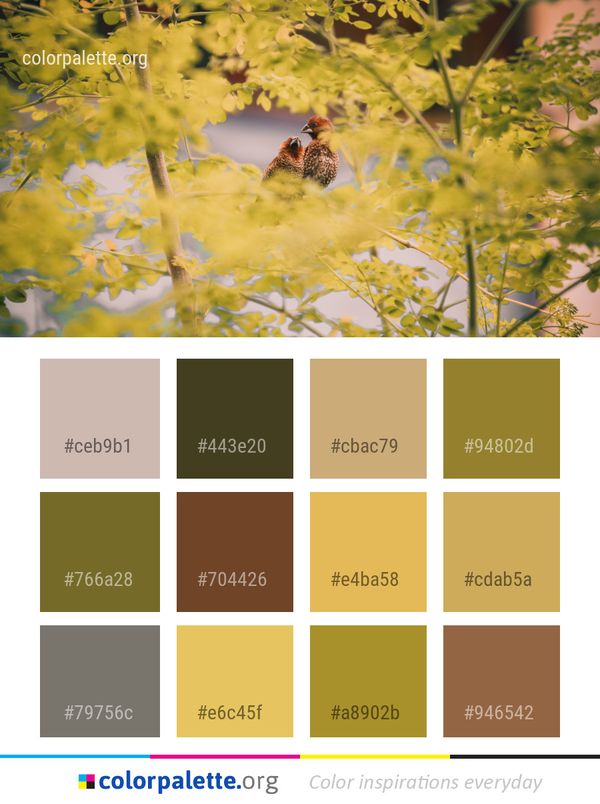 Nature Leaf Yellow Color Palette