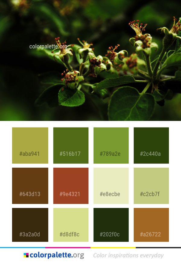 Plant Flora Flower Color Palette