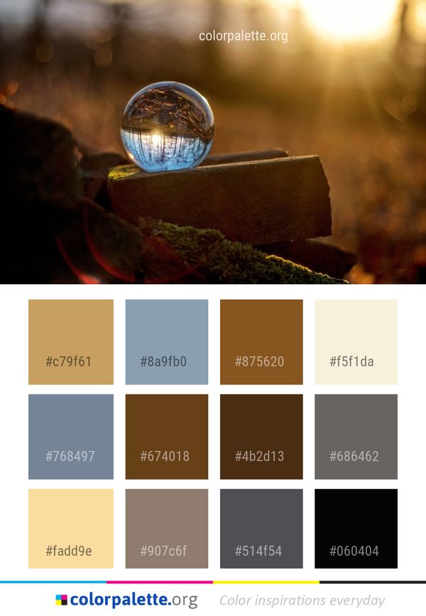 Reflection Light Sunlight Color Palette