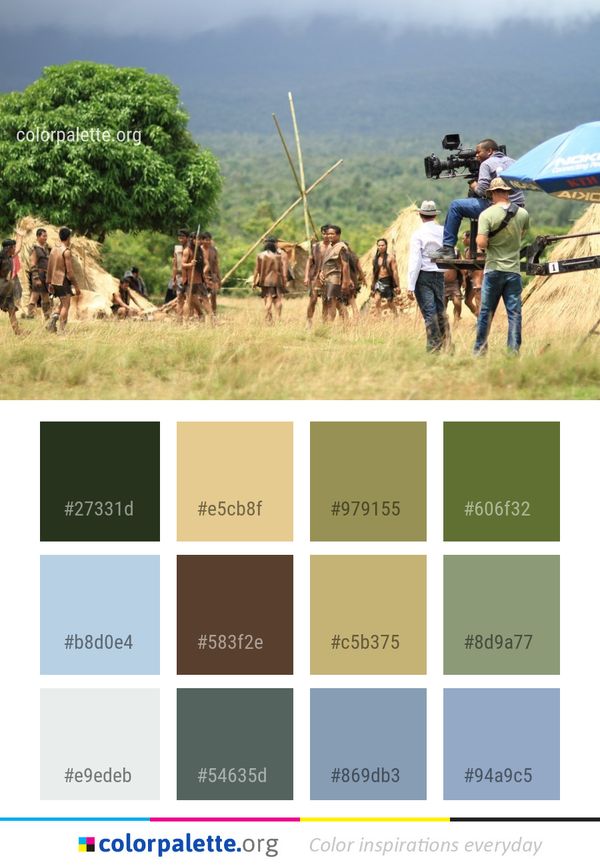 Rural Area Grass Pasture Color Palette