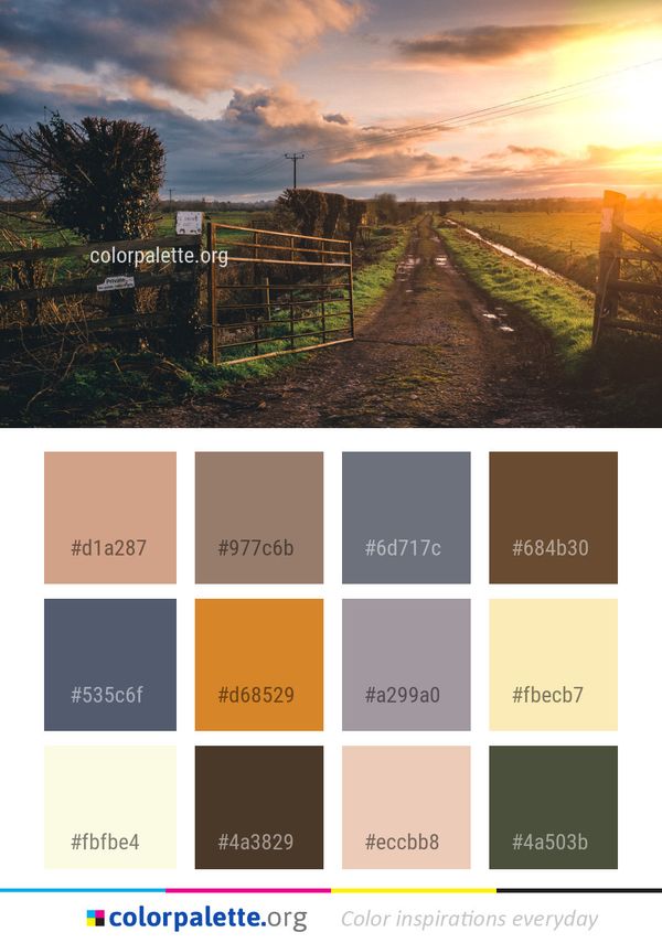 Sky Cloud Evening Color Palette