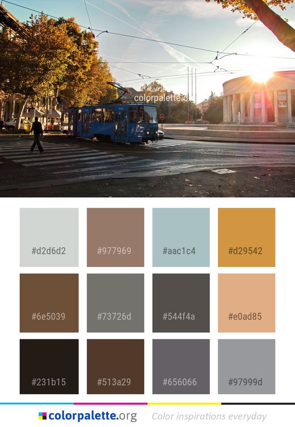 Sky Transport Tree Color Palette