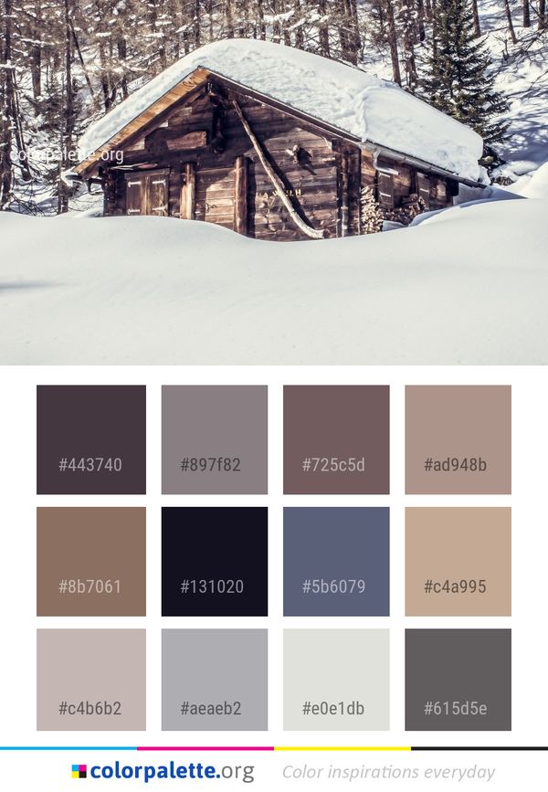 Snow Winter Log Cabin Color Palette