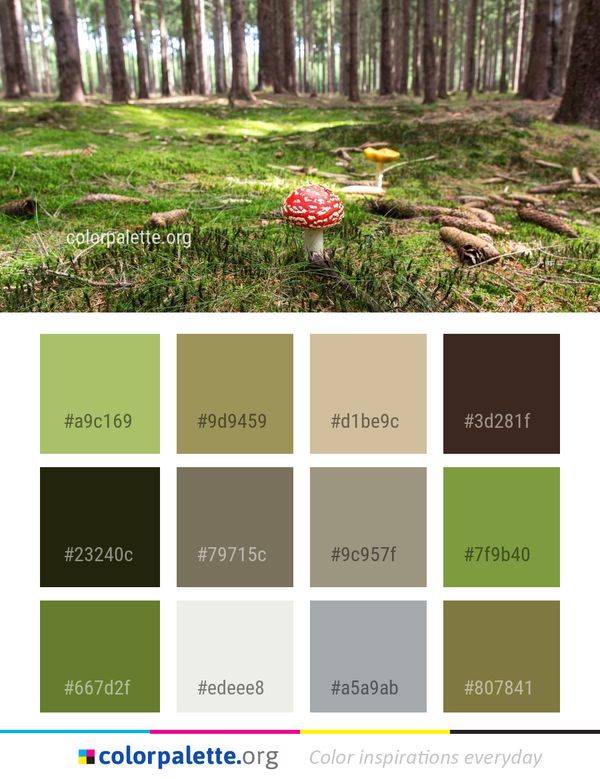Ecosystem Grass Woodland Color Palette