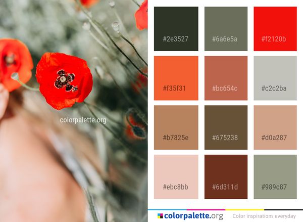 Flower Red Poppy Color Palette