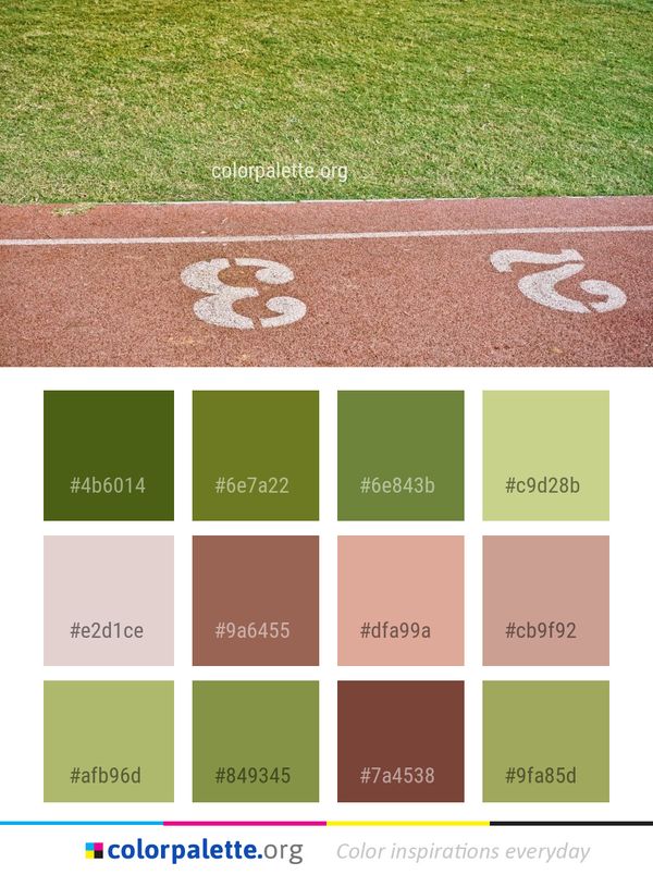 Grass Baseball Field Structure Color Palette