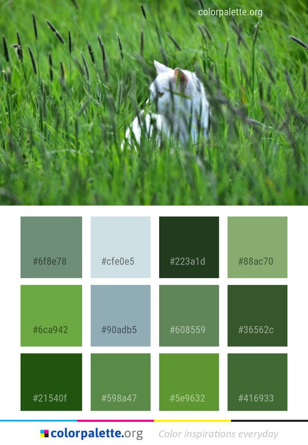 Grass Green Family Color Palette