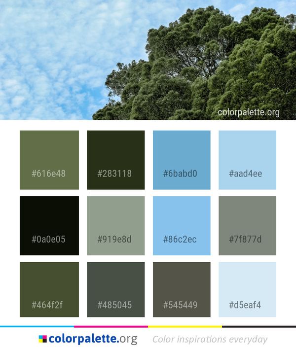 Sky Tree Vegetation Color Palette