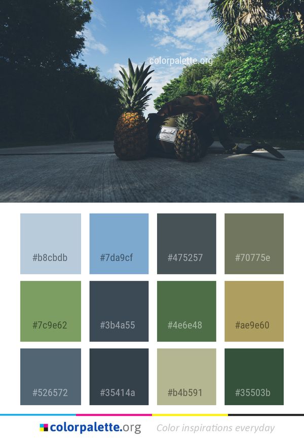 Tree Plant Sky Color Palette