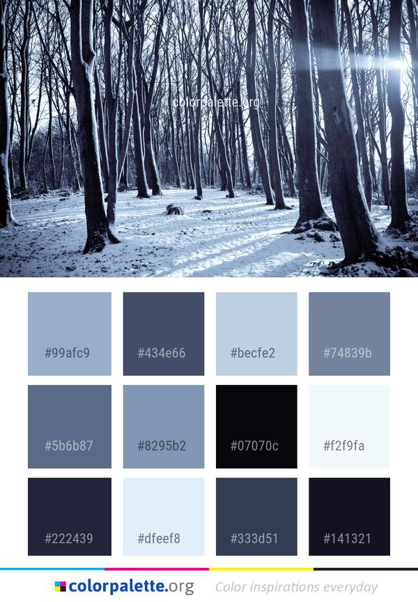 Winter Tree Snow Color Palette