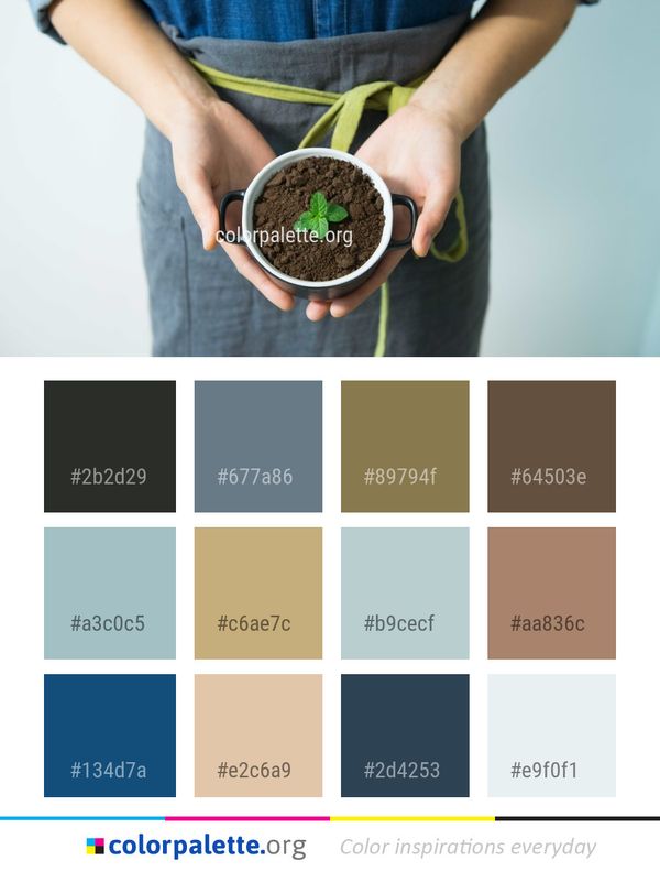 Colorful Color Palette
