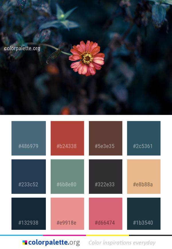 Flower Flora Plant Color Palette