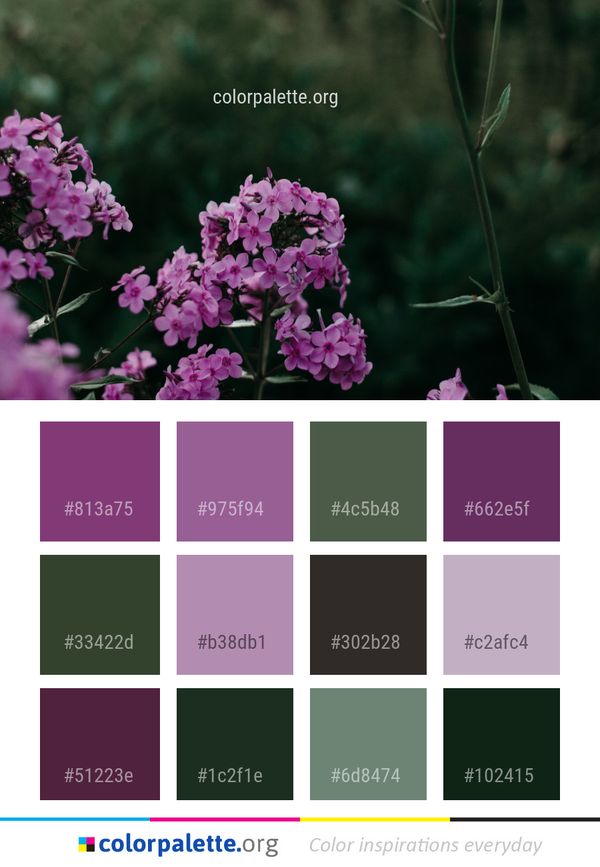 Flower Plant Pink Color Palette
