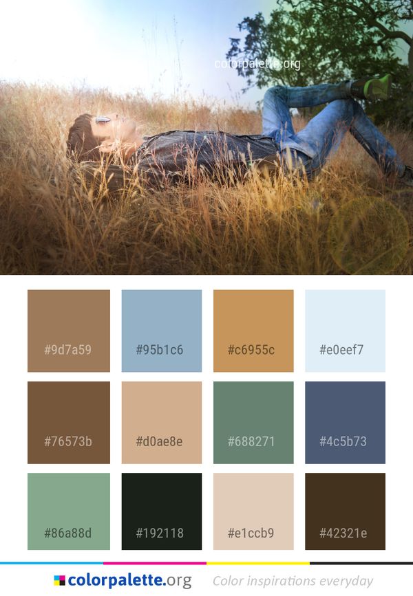 Grass Grassland Prairie Color Palette