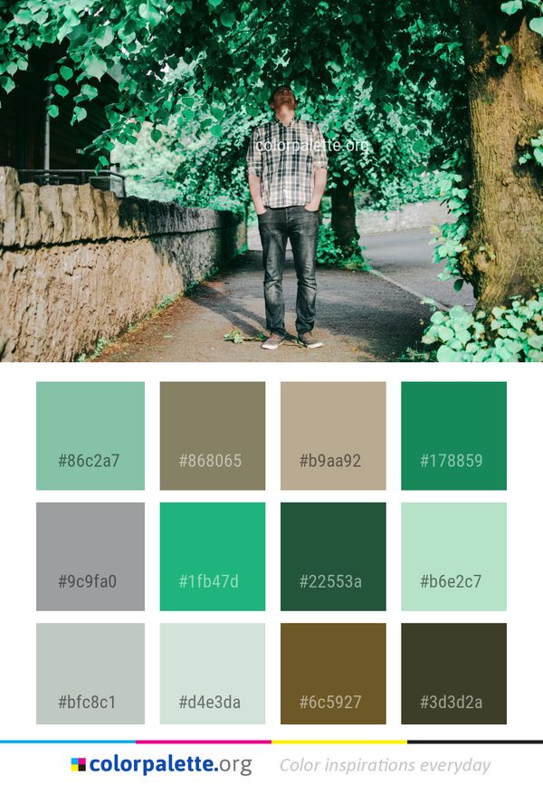Green Photograph Nature Color Palette